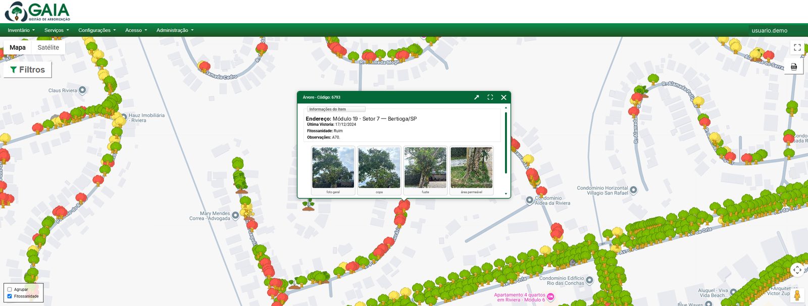 Ficha de uma árvore aberta sobre o mapa, com código, data da última vistoria, estado fitossanitário e quatro fotos de campo